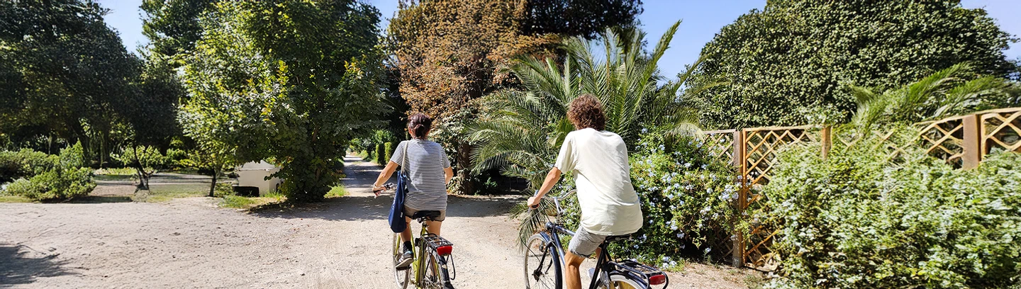 Actividades en Granada - Paseo en bicicletas del Cortijo del Pino